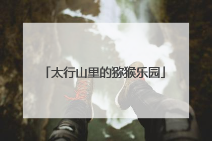 太行山里的猕猴乐园