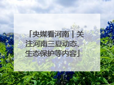 央媒看河南｜关注河南三夏动态、生态保护等内容