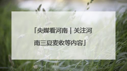 央媒看河南｜关注河南三夏麦收等内容