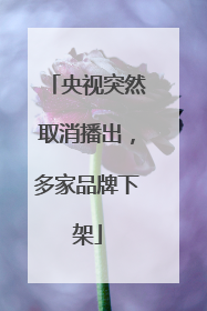 央视突然取消播出，多家品牌下架