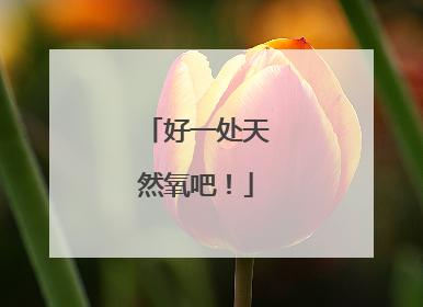 好一处天然氧吧！