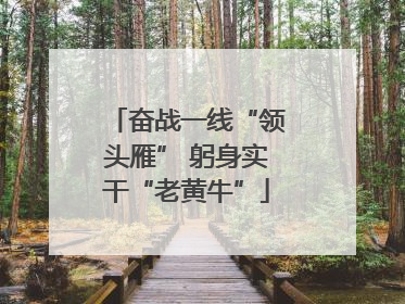 奋战一线“领头雁” 躬身实干“老黄牛”