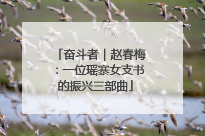 奋斗者｜赵春梅：一位瑶寨女支书的振兴三部曲