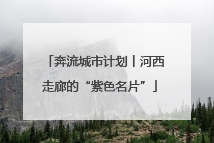 奔流城市计划丨河西走廊的“紫色名片”