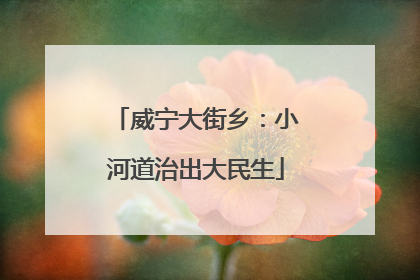 威宁大街乡：小河道治出大民生