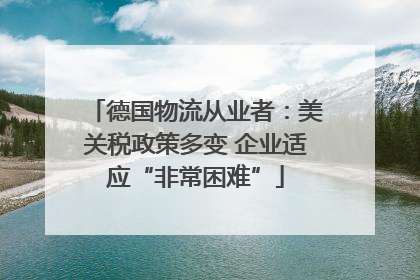 德国物流从业者：美关税政策多变 企业适应“非常困难”