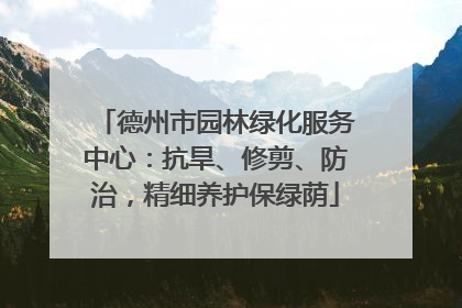德州市园林绿化服务中心：抗旱、修剪、防治，精细养护保绿荫