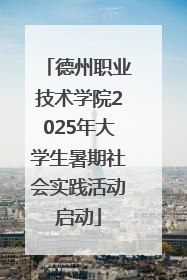 德州职业技术学院2025年大学生暑期社会实践活动启动