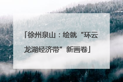 徐州泉山：绘就“环云龙湖经济带”新画卷