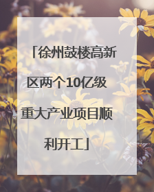徐州鼓楼高新区两个10亿级重大产业项目顺利开工