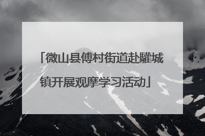 微山县傅村街道赴驩城镇开展观摩学习活动