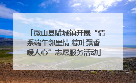 微山县驩城镇开展“情系端午邻里情 粽叶飘香暖人心”志愿服务活动