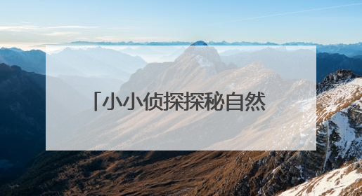 小小侦探探秘自然 端午文化焕发新光