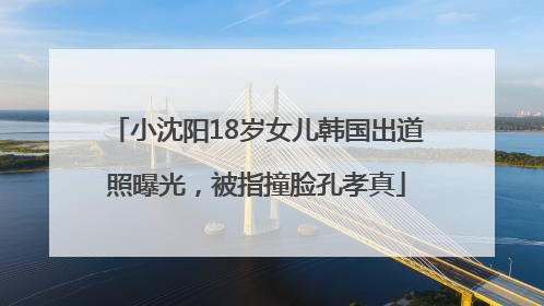 小沈阳18岁女儿韩国出道照曝光，被指撞脸孔孝真