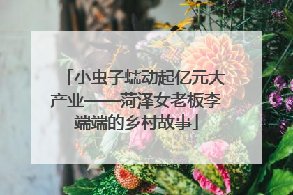 小虫子蠕动起亿元大产业——菏泽女老板李端端的乡村故事