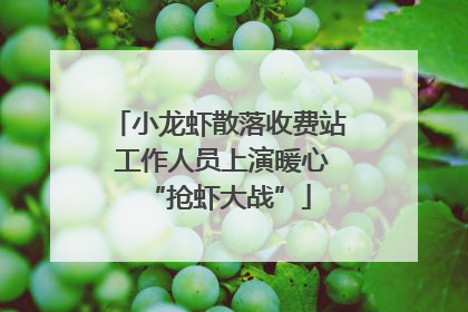 小龙虾散落收费站 工作人员上演暖心“抢虾大战”