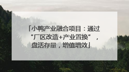 小鸭产业融合项目：通过“厂区改造+产业置换”，盘活存量，增值增效