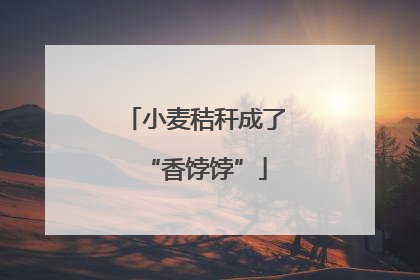 小麦秸秆成了“香饽饽”