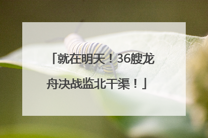 就在明天！36艘龙舟决战监北干渠！