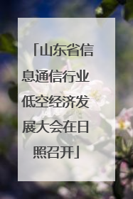 山东省信息通信行业低空经济发展大会在日照召开