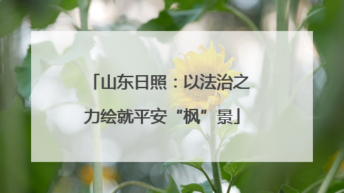 山东日照：以法治之力绘就平安“枫”景