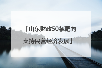 山东财政50条靶向支持民营经济发展