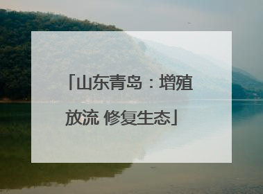 山东青岛：增殖放流 修复生态