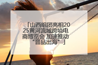 山西组团亮相2025黄河流域跨境电商博览会 加速推动“晋品出海”