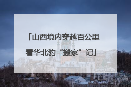 山西境内穿越百公里 看华北豹“搬家”记
