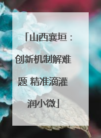 山西襄垣：创新机制解难题 精准滴灌润小微