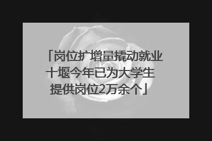 岗位扩增量撬动就业 十堰今年已为大学生提供岗位2万余个