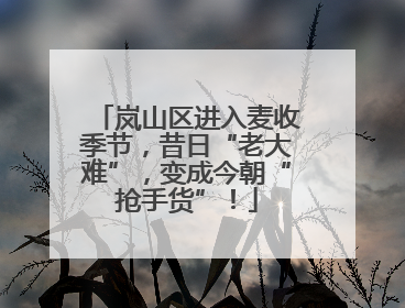 岚山区进入麦收季节，昔日“老大难”，变成今朝“抢手货”！