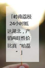 岭南荔枝24小时抵达湖北，产销两旺性价比真“给荔”