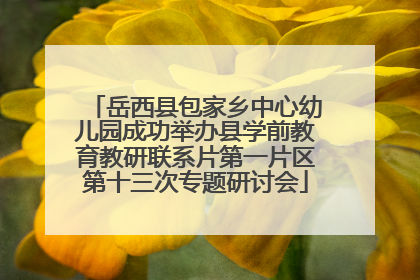 岳西县包家乡中心幼儿园成功举办县学前教育教研联系片第一片区第十三次专题研讨会