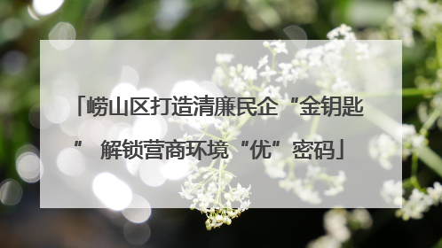 崂山区打造清廉民企“金钥匙” 解锁营商环境“优”密码