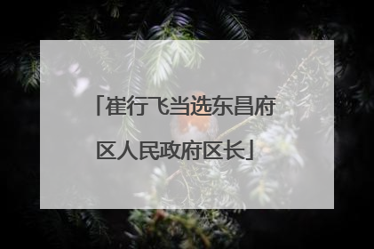 崔行飞当选东昌府区人民政府区长