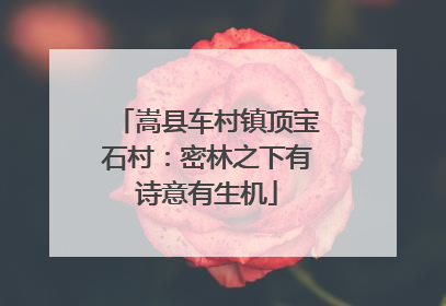 嵩县车村镇顶宝石村：密林之下有诗意有生机