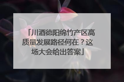 川酒德阳绵竹产区高质量发展路径何在？这场大会给出答案