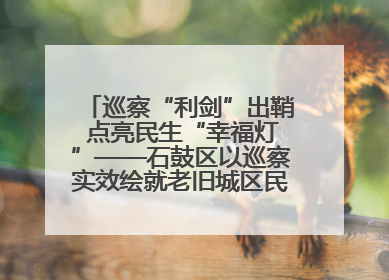 巡察“利剑”出鞘 点亮民生“幸福灯”——石鼓区以巡察实效绘就老旧城区民生新图景