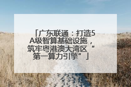 广东联通：打造5A级智算基础设施，筑牢粤港澳大湾区“第一算力引擎”
