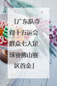 广东队夺得十五运会群众七人足球赛佛山赛区首金