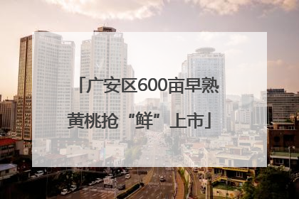 广安区600亩早熟黄桃抢“鲜”上市