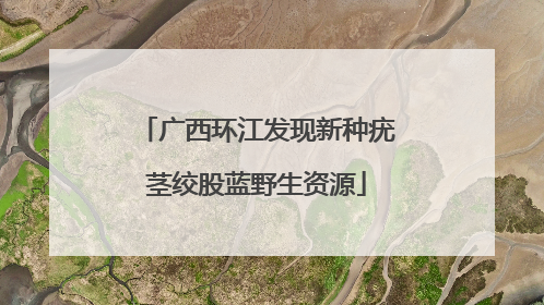广西环江发现新种疣茎绞股蓝野生资源