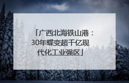 广西北海铁山港：30年蝶变超千亿现代化工业强区