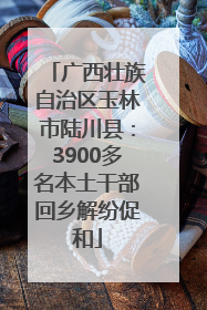 广西壮族自治区玉林市陆川县：3900多名本土干部回乡解纷促和