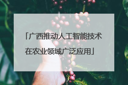 广西推动人工智能技术在农业领域广泛应用