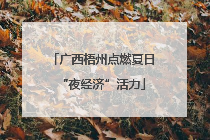广西梧州点燃夏日“夜经济”活力