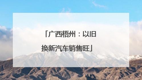 广西梧州：以旧换新汽车销售旺