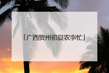 广西贺州初夏农事忙