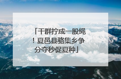 干群拧成一股绳！夏邑县骆集乡争分夺秒促夏种